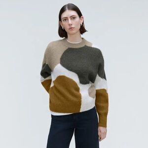 Everlane Alpaca & Wool blend Multicolor Crew Neck Sweater